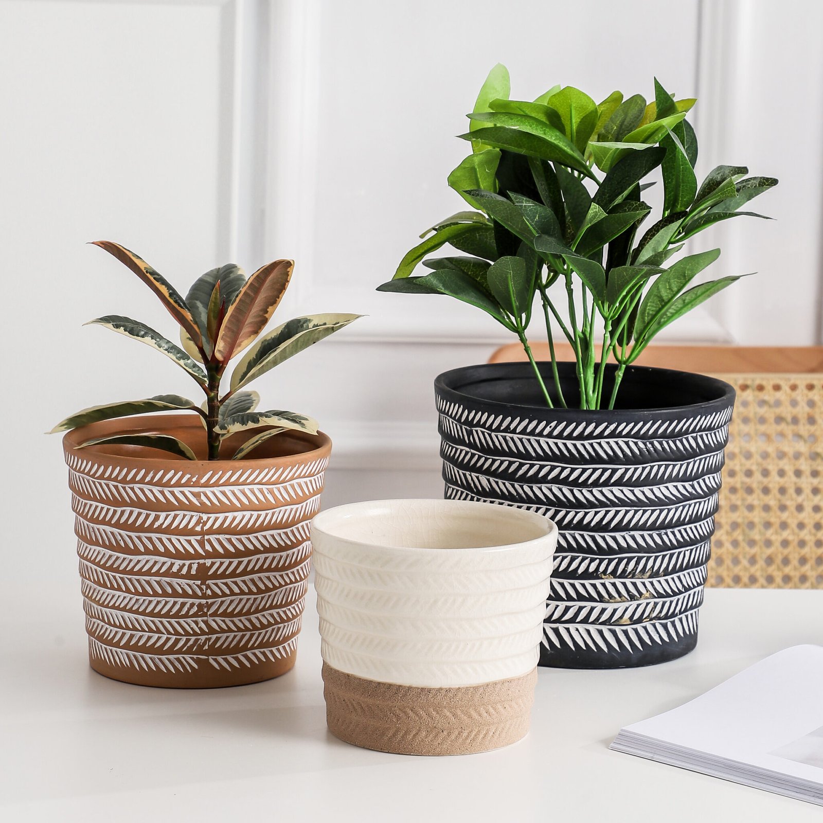 Catalogue - Hale: Top Ceramic Planter Manufacturer