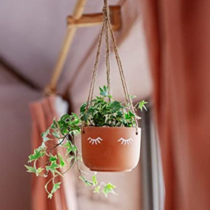 Hanging planter