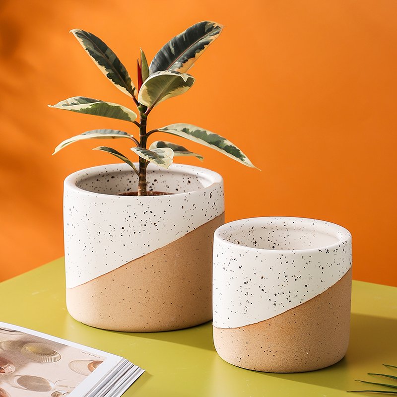 The Top 10 Ceramic Pot Trends for Urban Gardens - Hale: Top Ceramic ...