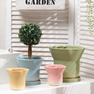 Biscuit Ombre Planter Pot Supplier for Export Markets