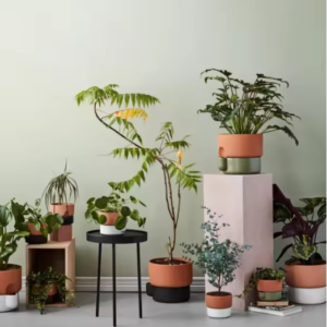 Wholesale  Self-Watering Terracotta Planter Pot for Succulents and Indoor Plants