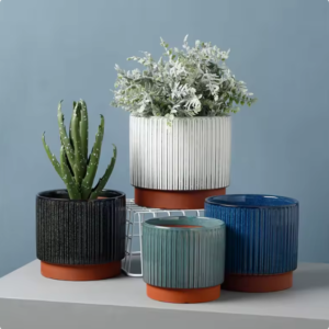 Wholesale Terracotta Flower Pot for Succulent and Cactus Plants