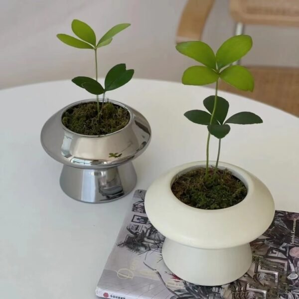 Balcony Modern Round Thicken Bonsai Pots for Plants Durable Ceramic Succulent Planter