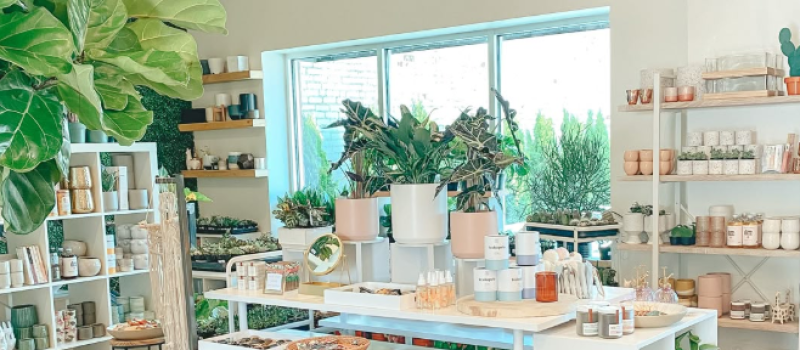 haleplanter haleplanter